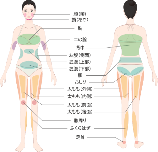 痩身 部分痩せ ボディの悩み Mods Clinic モッズクリニック 公式 東京 銀座 大阪