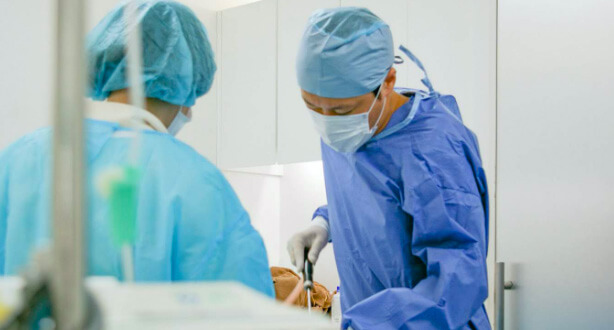 脂肪採取部位の美しさも追求