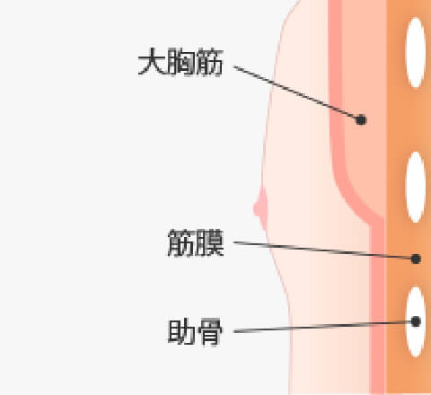 女性化乳房 Mods Clinic モッズクリニック 公式 東京 銀座 大阪