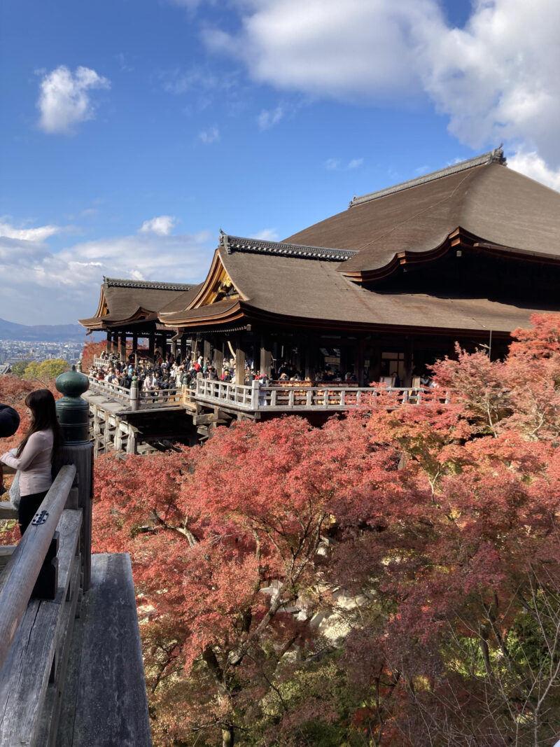 母の日常　京都行ってきた！