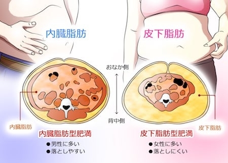 母の日常　皮下脂肪！