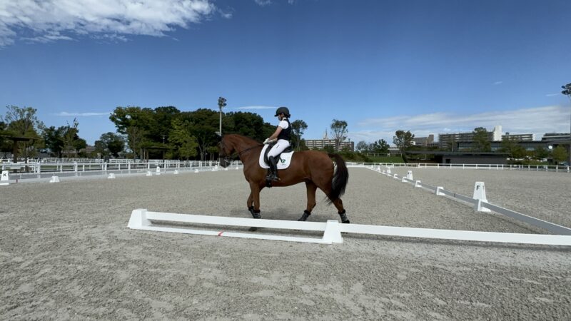 母の日常　無事終わりました！