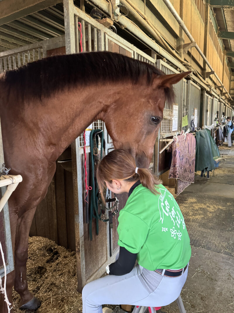 母の日常　いよいよ…！