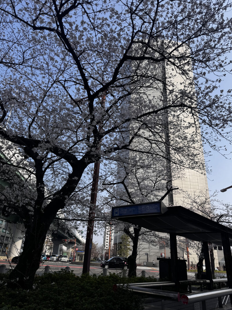 母の日常　新年度！